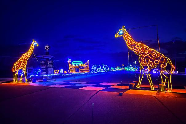 Nite Lites Display