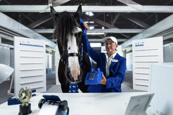 Compressed Home CTA Neigh-I