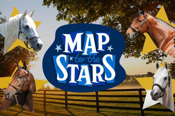 "Map to the Stars" logo with headshots of horses in yellow stars around it.