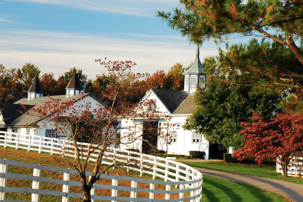 Farmland with white wooden fence in the fall