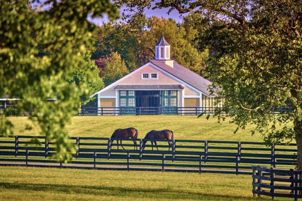 Horse farm with barn, fence and 2 horses grazing