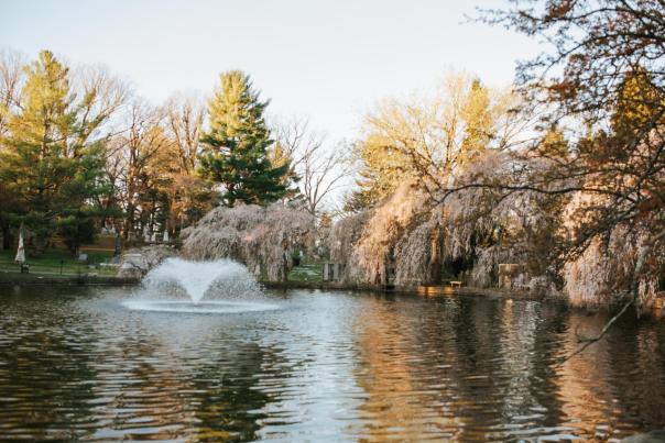 Lexington Cemetery, Amani Nichae