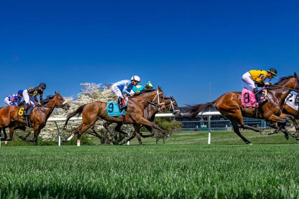 Horses racing at Keeneland in Lexington, KY.