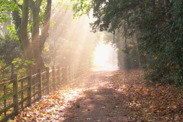 A lovely countryside trail.