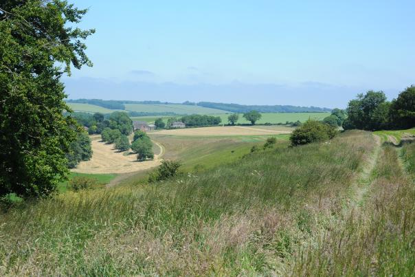 A view of the countryside in the afternoon at Blue Heath Road