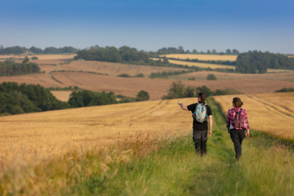 A couple sightseeing whilst walking along a grass coated trail