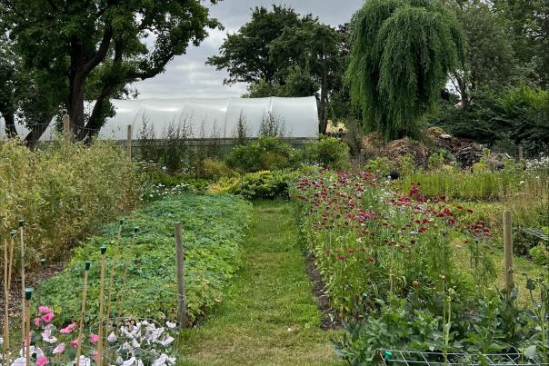 Image shows a picture of Pick your own flower Co.