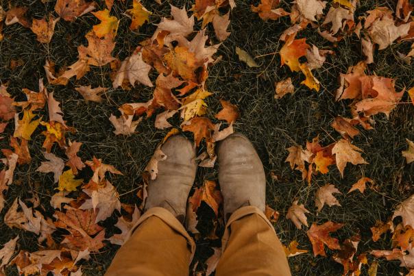 Shoes with Fall Color Leaves