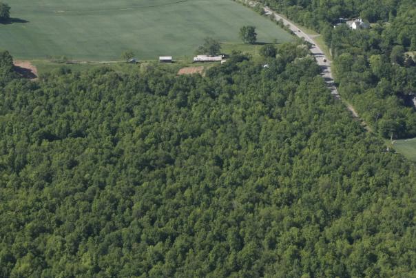 Aerial