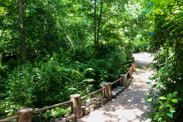 Avalon Nature Preserve