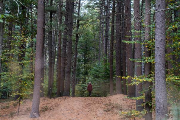 Prosser Pines Nature Preserve