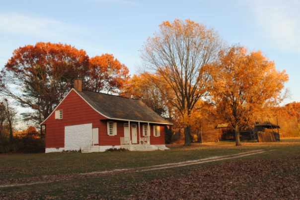 Fall Foliage Old Bethpage