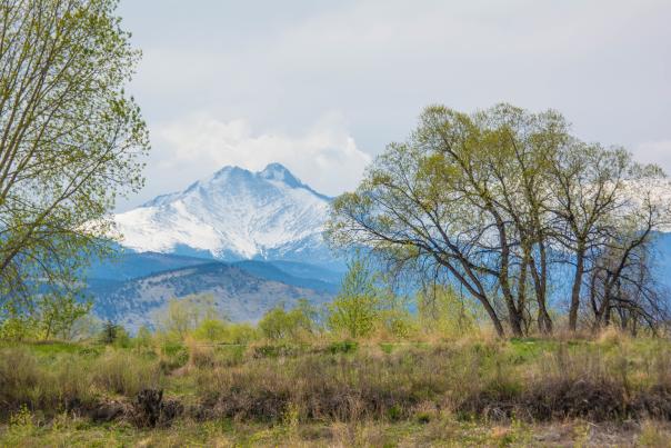 Spring in Longmont