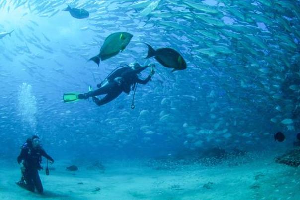 Diving in Los Cabos