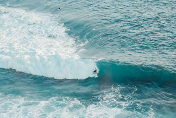 Surfing a wave in Los Cabos