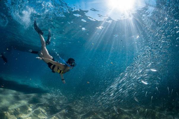 fotografía de mujer haciendo snorkel en el mar, con peces de fondo