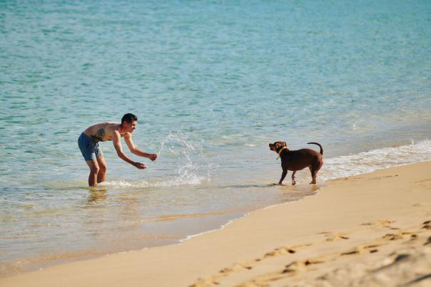 fotografia de un hombre jugando en la playa con un perro
