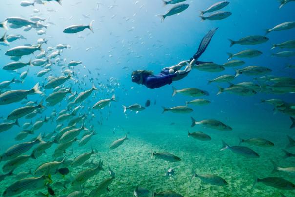 mujer haciendo snorkel en el mar rodeada de peces