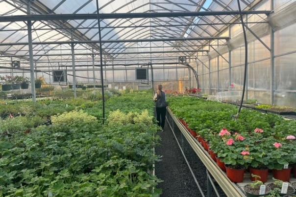 Abernethy Greenhouse