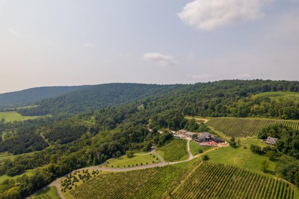 Aerial of Bluemont Vineyard's tasting room and vine rows set against the forested Blue Ridge hills in Bluemont, Virginia