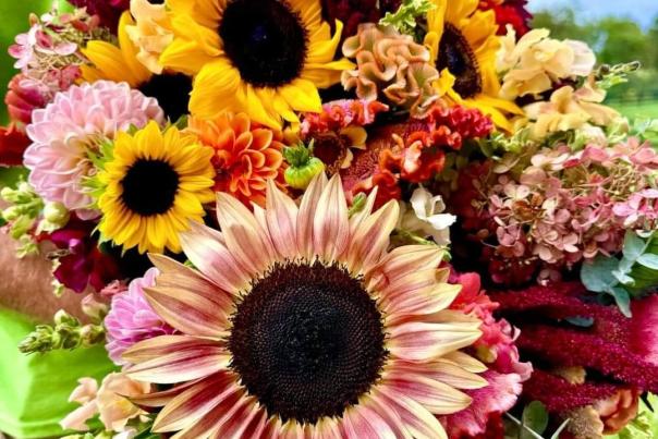 Legacy Farms - flowers