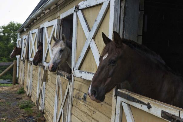 Fieldstone Farm