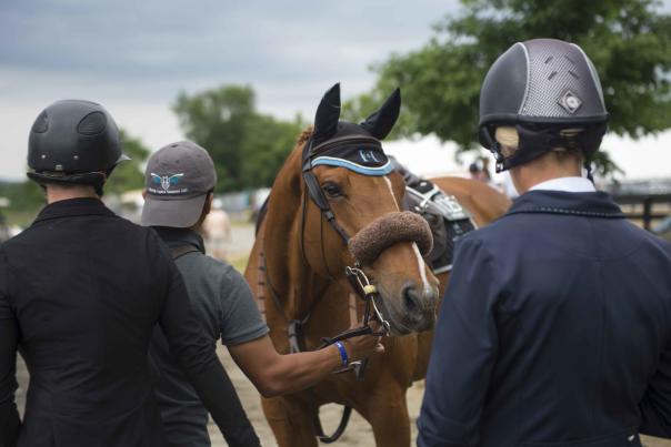 Horse & Jockey getting ready