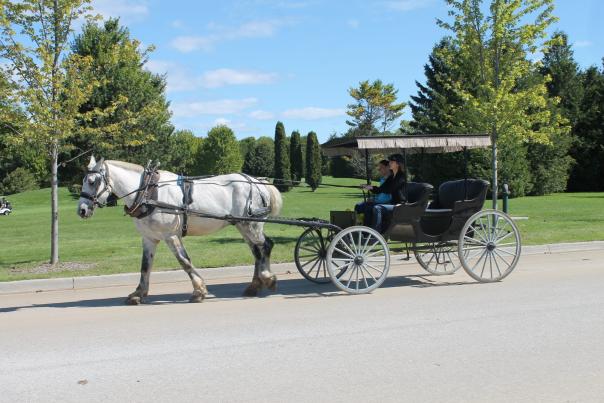 Drive It Yourself Horse Carriage Tour on Mackinac Island
