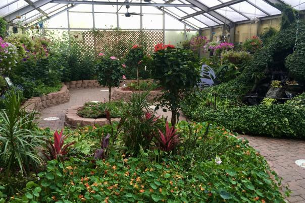 Why butterflies are such a big deal on Mackinac Island