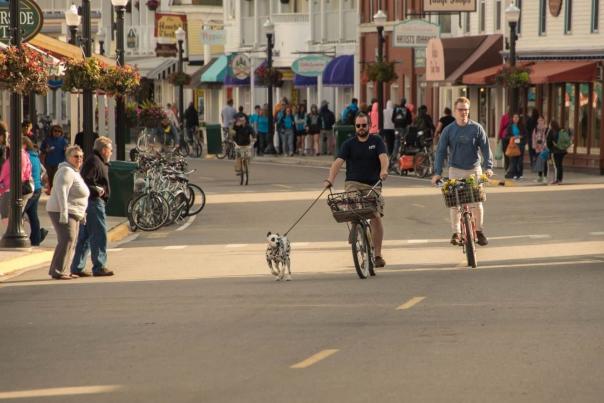 A dog's view of Mackinac Island