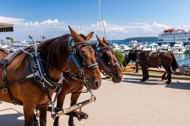 Mackinac Island in September