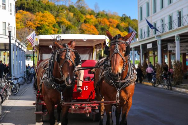 7 sights to see on a public horse-drawn carriage tour of Mackinac Island