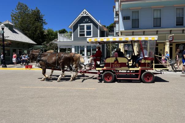 Tips for visiting Mackinac Island with limited mobility