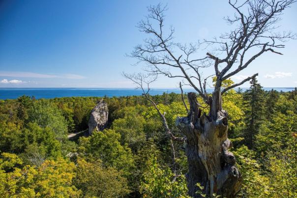 Q&A With 2 Mackinac Island Tour Guides