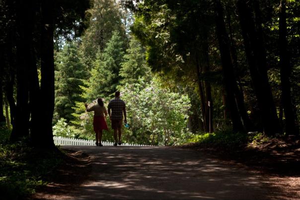 4 Hiking and Biking Trails to Explore on Mackinac Island