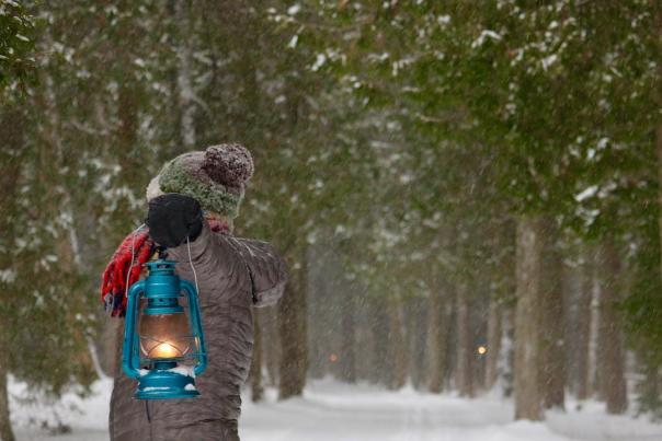 A person holds a lantern to light the way through the woods of Mackinac Island State Park during the Twilight Turtle Trek
