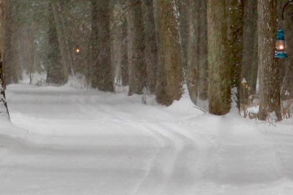 Winter adventure on Mackinac Island: Cross-country skiing