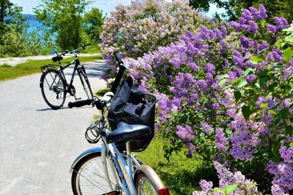 Plan Now for the Annual Mackinac Island Lilac Festival