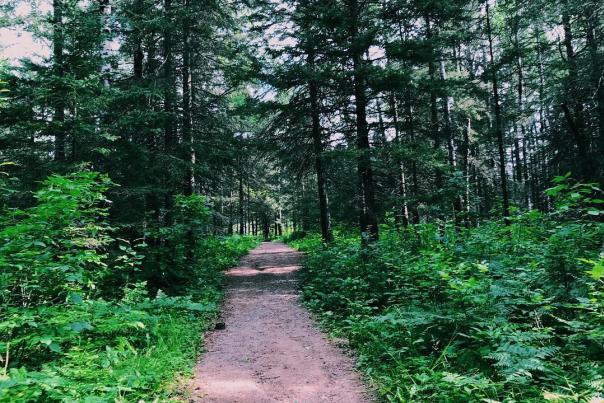Running on Mackinac Island