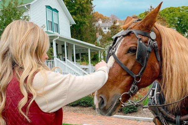 Everything to know about horses on Mackinac Island