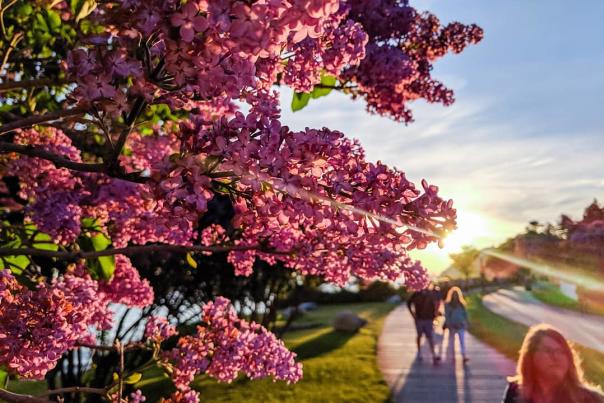 10 special days to celebrate on Mackinac Island