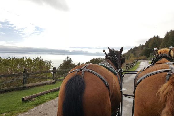 Opening day on Mackinac Island! What's new in 2019