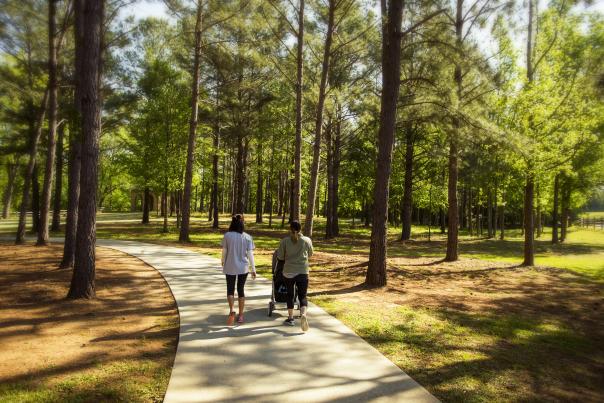 Amerson Park Trail