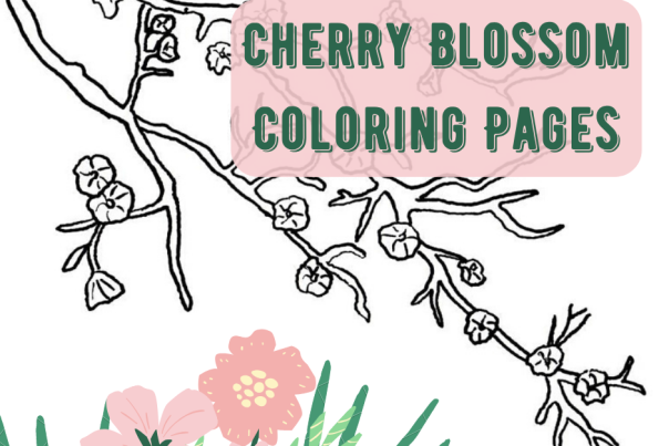 Cherry Blossom Coloring Page Header