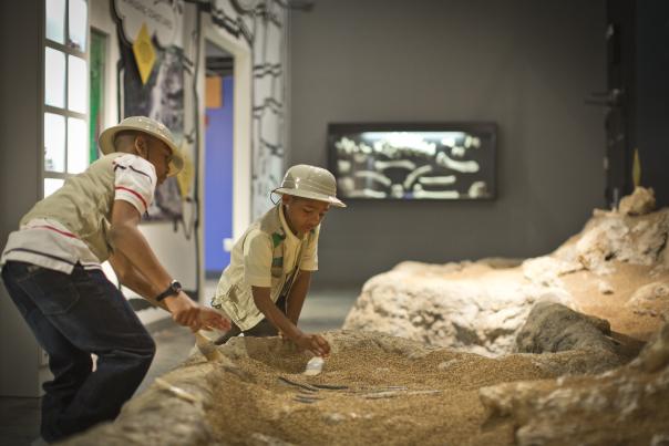 Kids Fossil Dig at Museum of Arts and Sciences