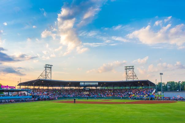 Macon Bacon baseball plan on summer season