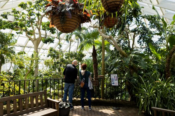 A man and woman looking out at the view inside a greenhouse conservatory surrounded by plants and trees.