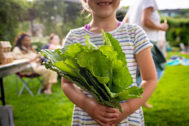 Collard Fest - Earth Day Blog header