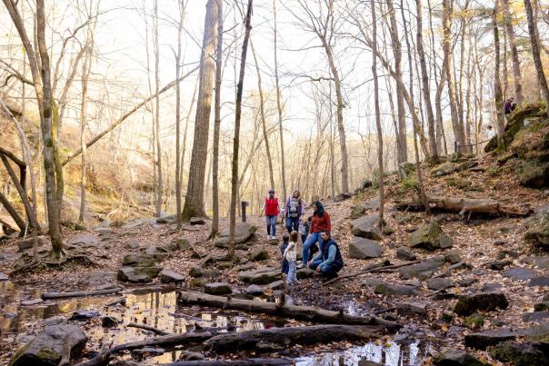 A family of four people hike through Governor Dodge State Park surrounded by tall trees and a small stream