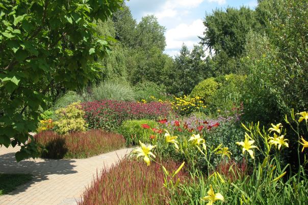 Flowers in full summer bloom at the Olbrich perennial garden